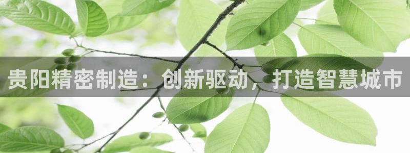 彩神8官网版是正规的吗：贵阳精密制造：创新驱动，打造智慧城市