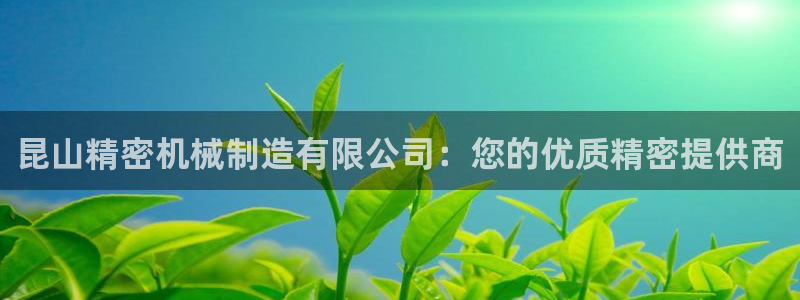彩神盈利图片：昆山精密机械制造有限公司：您的优质精密提供商