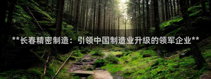 彩神是什么平台：**长春精密制造：引领中国制造业升级的领军企业**