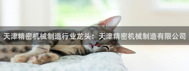 彩神赢的钱是哪里来的啊：天津精密机械制造行业龙头：天津精密机械制造有限公司