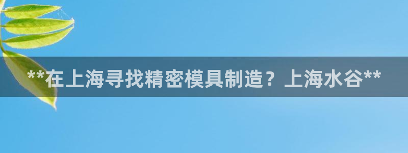 大发彩神官网下载：**在上海寻找精密模具制造？上海水谷**