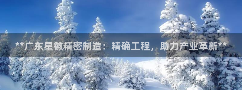 彩神ⅴll用户登录：**广东星徽精密制造：精确工程，助力产业革新**