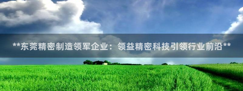 大发彩神争：**东莞精密制造领军企业：领益精密科技引领行业前沿**