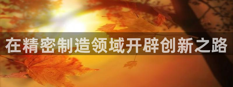 彩神这个平台是真的吗：在精密制造领域开辟创新之路