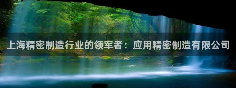 彩神旗下有哪些平台可以玩：上海精密制造行业的领军者：应用精密制造有限公司