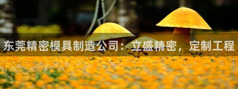 彩神的邀请码是多少：东莞精密模具制造公司：立盛精密，定制工程