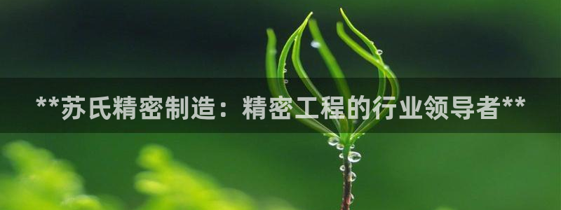 彩神网官网登录：**苏氏精密制造：精密工程的行业领导者**