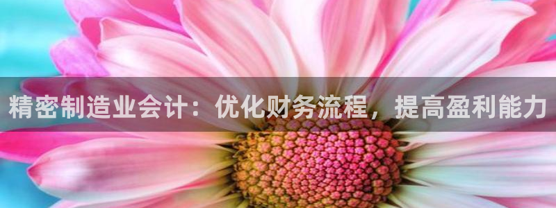 彩神赢了钱登录不上去：精密制造业会计：优化财务流程，提高盈利能力