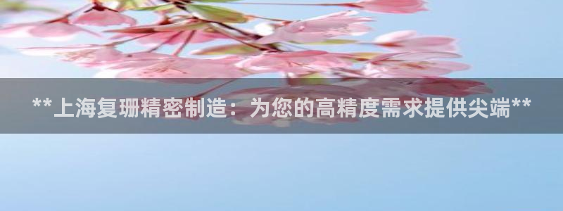 彩神赢的钱是哪里来的啊：**上海复珊精密制造：为您的高精度需求提供尖端**