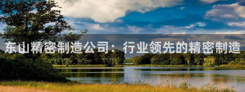 彩神大发官网：东山精密制造公司：行业领先的精密制造