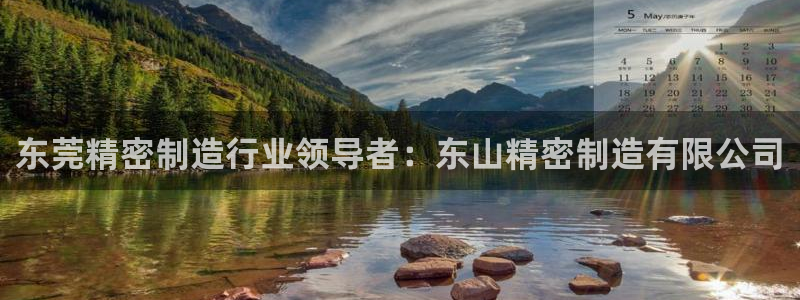 彩神vi官网版：东莞精密制造行业领导者：东山精密制造有限公司