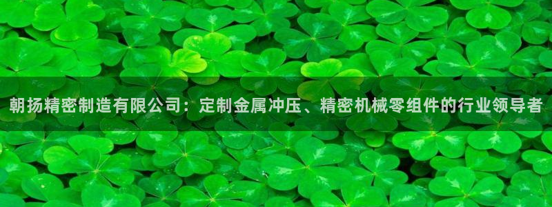 彩神v网赌软件下载：朝扬精密制造有限公司：定制金属冲压、精密机械零组件的行业领导者
