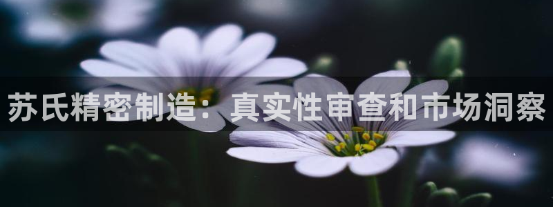 彩神v8下载：苏氏精密制造：真实性审查和市场洞察