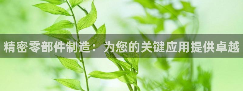 彩神v集团有限公司：精密零部件制造：为您的关键应用提供卓越