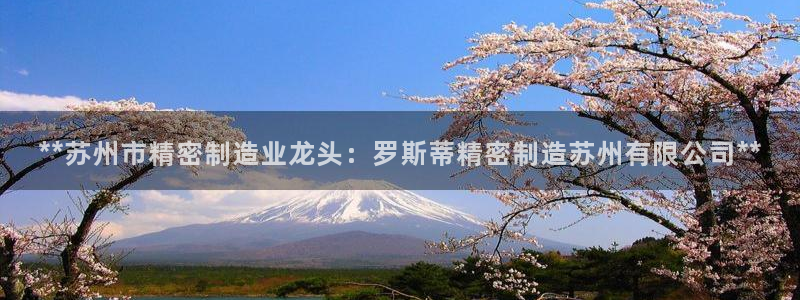 彩神v8手机客户端：**苏州市精密制造业龙头：罗斯蒂精密制造苏州有限公司**