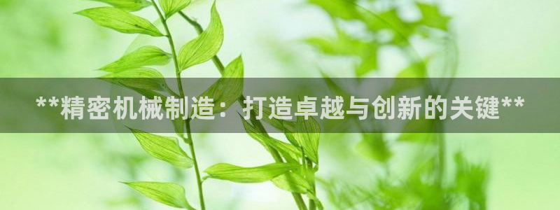 彩神大发官网：**精密机械制造：打造卓越与创新的关键**