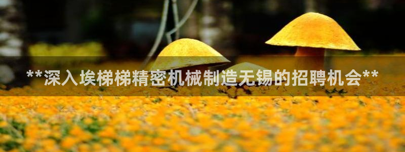 彩神V集团公司：**深入埃梯梯精密机械制造无锡的招聘机会**