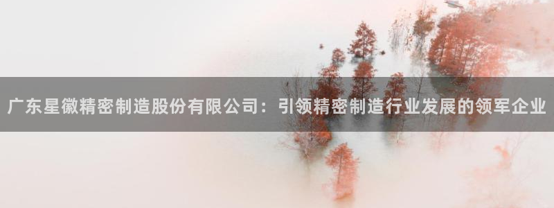 彩神ix能赚钱吗：广东星徽精密制造股份有限公司：引领精密制造行业发展的领军企业