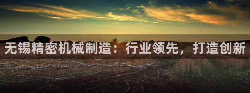 彩神v8是真的挣钱吗知乎：无锡精密机械制造：行业领先，打造创新