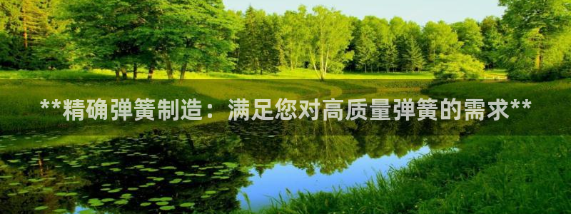 彩神ix能赚钱吗：**精确弹簧制造：满足您对高质量弹簧的需求**