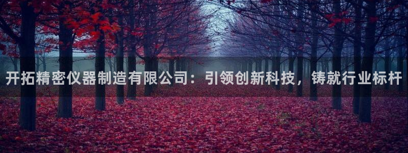 下载彩神v8：开拓精密仪器制造有限公司：引领创新科技，铸就行业标杆