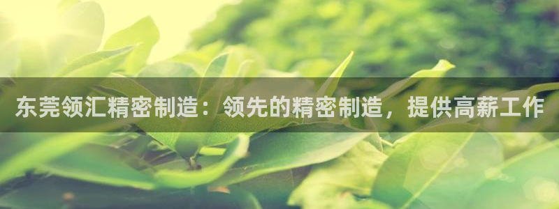 彩神合法吗.是国家认可的吗：东莞领汇精密制造：领先的精密制造，提供高薪工作