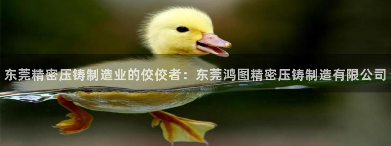 彩神vl官网：东莞精密压铸制造业的佼佼者：东莞鸿图精密压铸制造有限公司