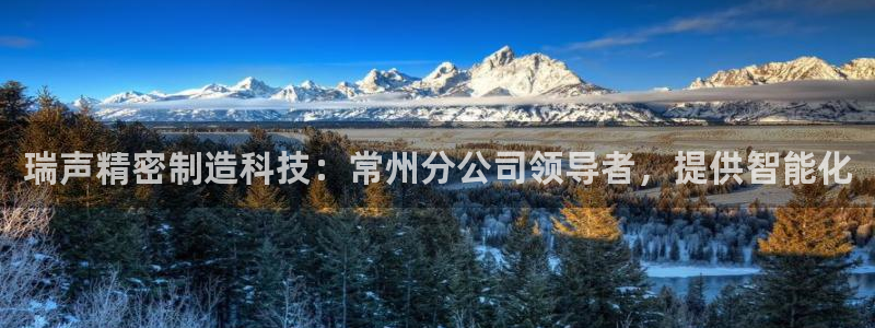 彩神vii官网：瑞声精密制造科技：常州分公司领导者，提供智能化