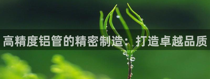 彩神vip购彩大厅在哪：高精度铝管的精密制造：打造卓越品质