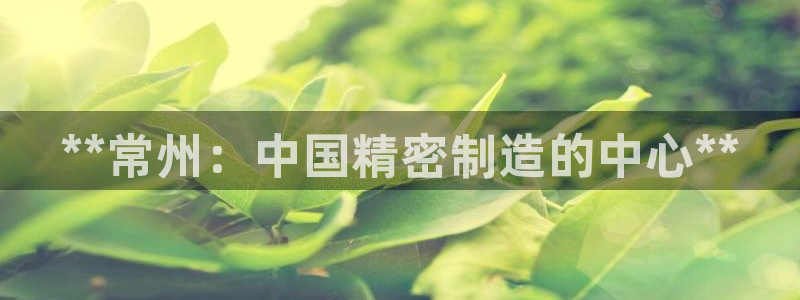 彩神vllⅰ购彩大厅：**常州：中国精密制造的中心**