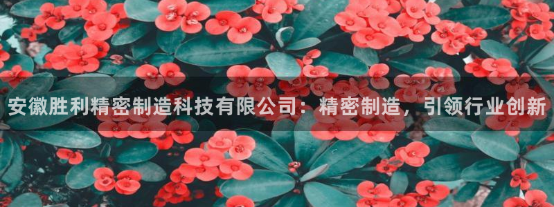 彩神大发是不是人为操作：安徽胜利精密制造科技有限公司：精密制造，引领行业创新