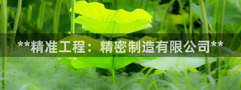 彩神vll官网-最新版app下载：**精准工程：精密制造有限公司**