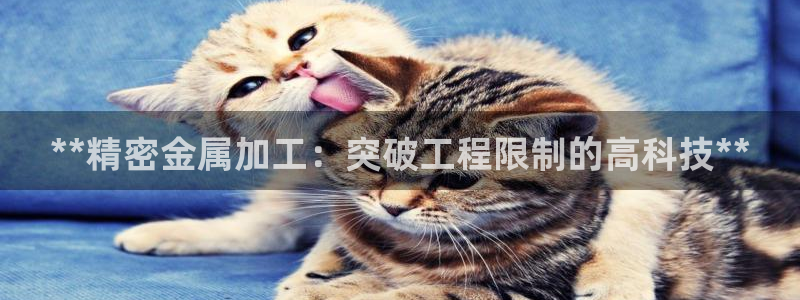 彩神v8下载网址：**精密金属加工：突破工程限制的高科技**
