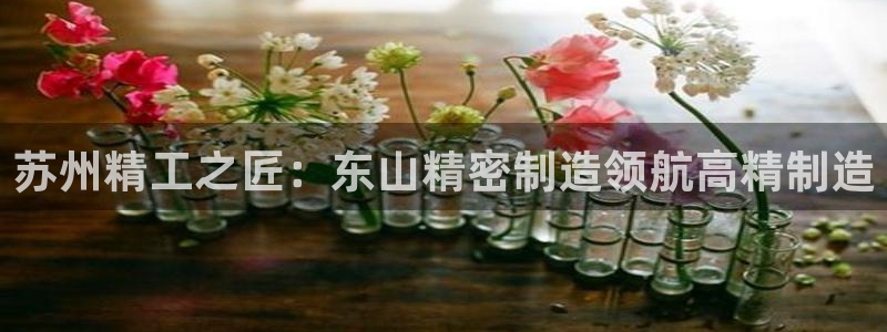 彩神v8是一个什么平台啊：苏州精工之匠：东山精密制造领航高精制造