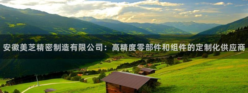 彩神8软件下载：安徽美芝精密制造有限公司：高精度零部件和组件的定制化供应商