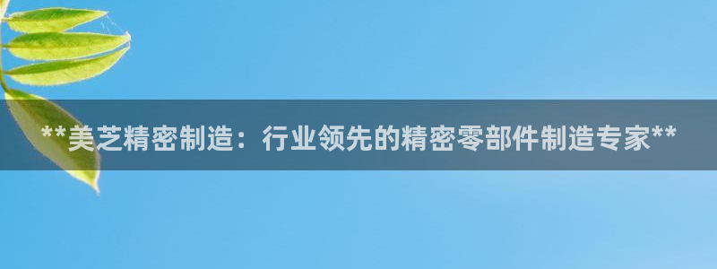 彩神vii购彩l心：**美芝精密制造：行业领先的精密零部件制造专家**