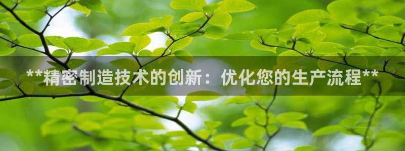 彩神app能挣到钱吗：**精密制造技术的创新：优化您的生产流程**