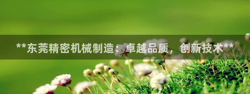 彩神8彩平台客服：**东莞精密机械制造：卓越品质，创新技术**