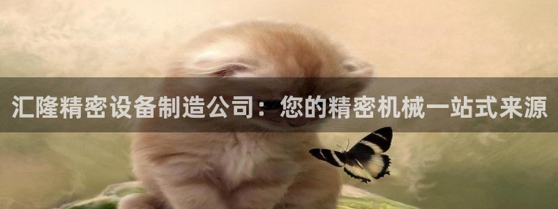 彩神viii是正规平台吗?：汇隆精密设备制造公司：您的精密机械一站式来源