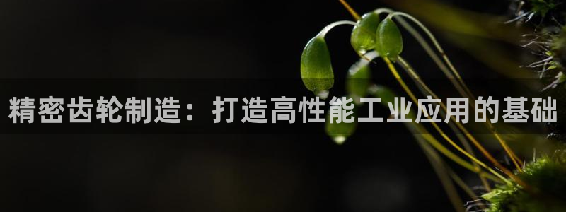 彩神官方登录：精密齿轮制造：打造高性能工业应用的基础
