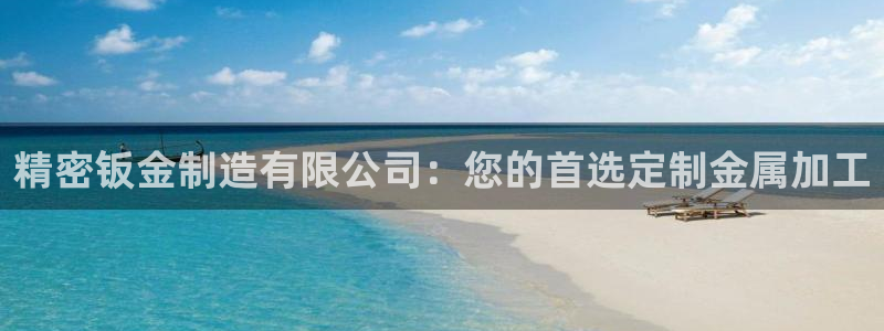 彩神购彩-购彩大厅入口老版：精密钣金制造有限公司：您的首选定制金属加工