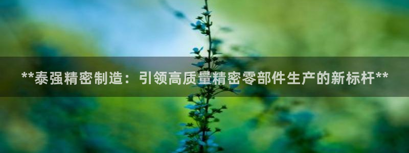 彩神赢钱了吗知乎：**泰强精密制造：引领高质量精密零部件生产的新标杆**