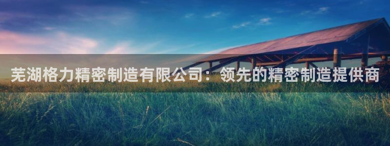 彩神ix能赚钱吗：芜湖格力精密制造有限公司：领先的精密制造提供商