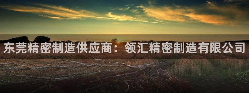 彩神是正规平台吗：东莞精密制造供应商：领汇精密制造有限公司