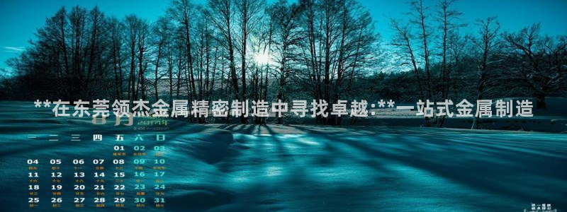 天天彩神welcome：**在东莞领杰金属精密制造中寻找卓越:**一站式金属制造