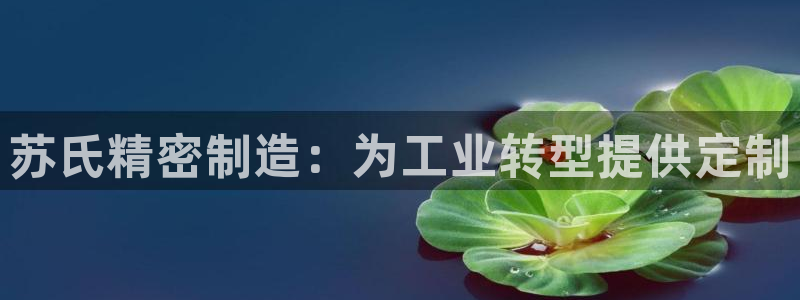 彩神Vll购彩大厅：苏氏精密制造：为工业转型提供定制