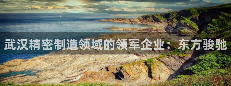 彩神vll趣投彩：武汉精密制造领域的领军企业：东方骏驰