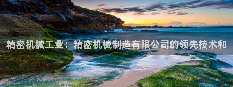彩神争霸官网登录平台：精密机械工业：精密机械制造有限公司的领先技术和