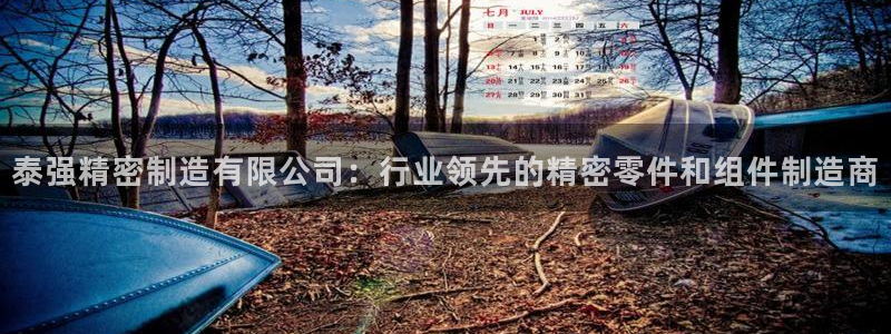 彩神8官网500：泰强精密制造有限公司：行业领先的精密零件和组件制造商