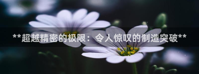 彩神vll首页企业文化：**超越精密的极限：令人惊叹的制造突破**